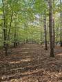 7040 Holly Drive - Photo 12