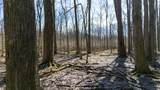 VL Doster Road, Lot#Wp001 - Photo 20