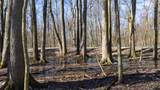 VL Doster Road, Lot#Wp001 - Photo 23