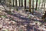 1697 Wildwood Road - Photo 77