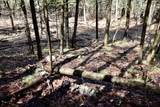 1697 Wildwood Road - Photo 78