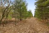  Maple Avenue - Photo 6