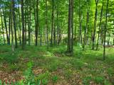 TBD School Section Lake Drive - Photo 4