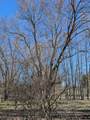 6465 Fox Den - Photo 9