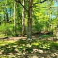8605 East - Photo 28