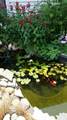 18 Suttons Ridge - Photo 41