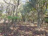 2857 Oakley Road - Photo 10