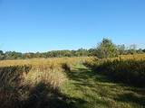 2857 Oakley Road - Photo 20