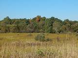 2857 Oakley Road - Photo 4