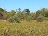 2857 Oakley Road - Photo 8
