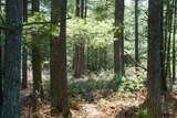5840 Wildwood Road - Photo 10