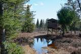 5840 Wildwood Road - Photo 11