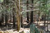 5840 Wildwood Road - Photo 13