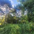 6797 Devils Lake Highway - Photo 2