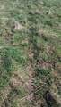 3607 Hansen Road - Photo 49