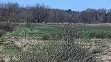 3607 Hansen Road - Photo 56