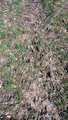 3607 Hansen Road - Photo 77