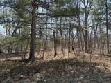  Chief Okemos Trail - Photo 2