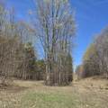 1634 Hazel Road - Photo 11