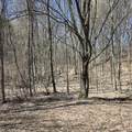 1634 Hazel Road - Photo 16