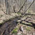 1634 Hazel Road - Photo 17