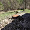 1634 Hazel Road - Photo 20