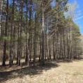 1634 Hazel Road - Photo 27