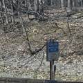 1634 Hazel Road - Photo 35
