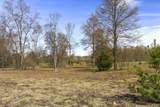 00Z0 Dzuibanek Road - Photo 12