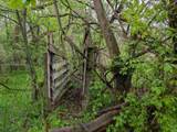 0 V/L White Street - Photo 10