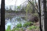 V/L Frost Road - Photo 1
