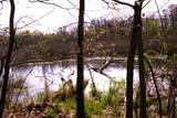 V/L Frost Road - Photo 10