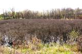 V/L Frost Road - Photo 14