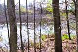 V/L Frost Road - Photo 4