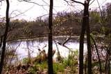 V/L Frost Road - Photo 9