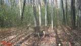  Holt - Photo 12