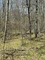 V/L Shadowbrook Drive - Photo 2