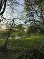 690 Pierce Road - Photo 49