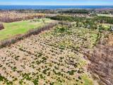 23A Sass Road - Photo 11