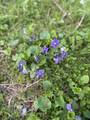 18300 14 Mile Road - Photo 36