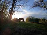 18300 14 Mile Road - Photo 4