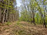  Vl Tipsico Lake Rd Parcel B - Photo 6