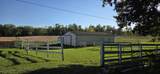 3223 Dunning Street - Photo 8