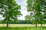 5227 Johnson Road - Photo 6
