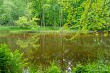 5227 Johnson Road - Photo 7