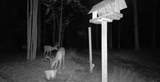 1695 Simonelli Road - Photo 32