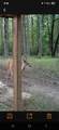 1695 Simonelli Road - Photo 33