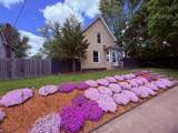 228 Thompson Street - Photo 2