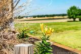 2256 Cochran Road - Photo 58