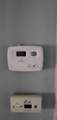 10616 Stratman Street - Photo 5